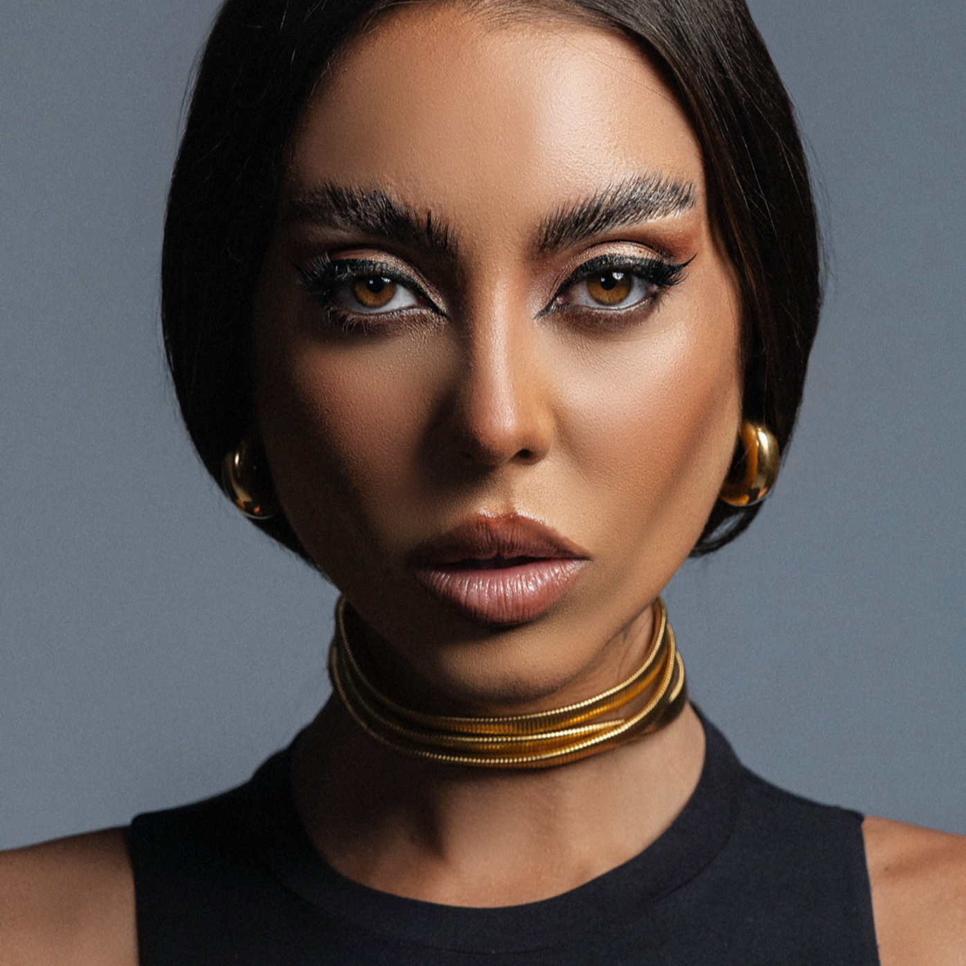 Harper Chain Choker Necklace